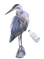 Heron bottle